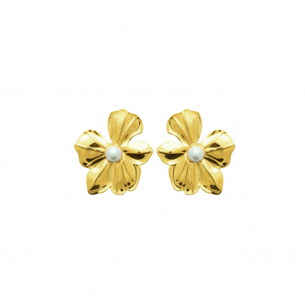 Boucles d’oreilles femme or acier inoxydable Influences