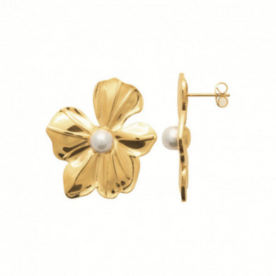 Boucles d’oreilles femme or acier inoxydable Influences