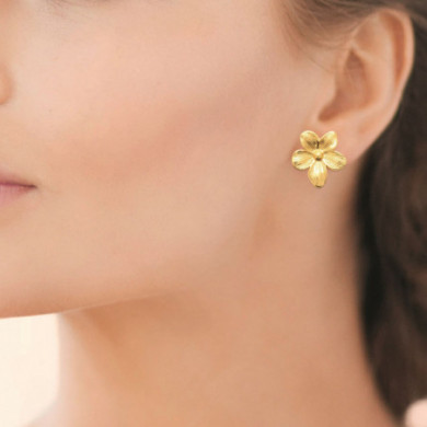 Boucles d’oreilles femme or acier inoxydable Influences