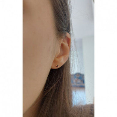 Boucles d'oreilles or 18 carats avec Grenat