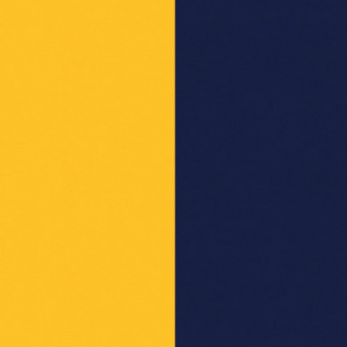 Cuir GEORGETTES bague Sun et Marine