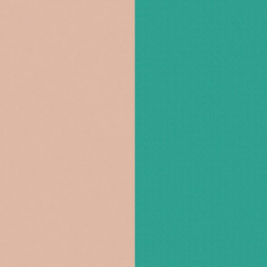 Cuir GEORGETTES bague Nude et Aquatic