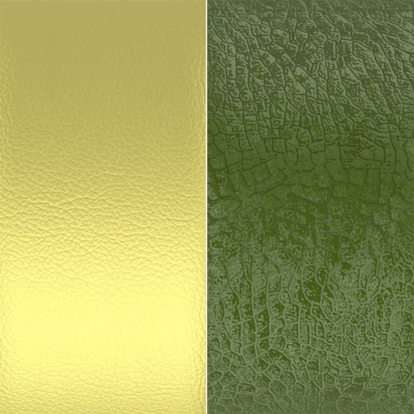 Cuir GEORGETTES bague Anis Irisé et Avocat